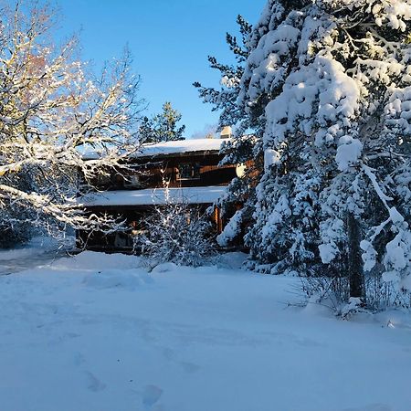 Kibuvitsa Holiday House Muratsi Zewnętrze zdjęcie