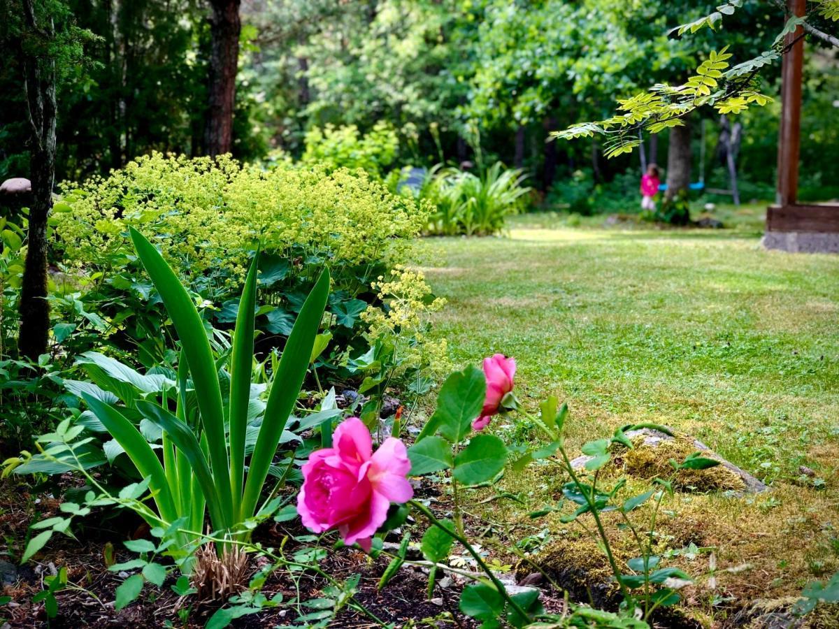 Kibuvitsa Holiday House Muratsi Zewnętrze zdjęcie