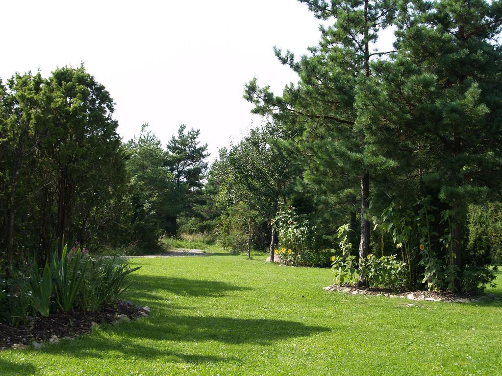 Kibuvitsa Holiday House Muratsi Zewnętrze zdjęcie